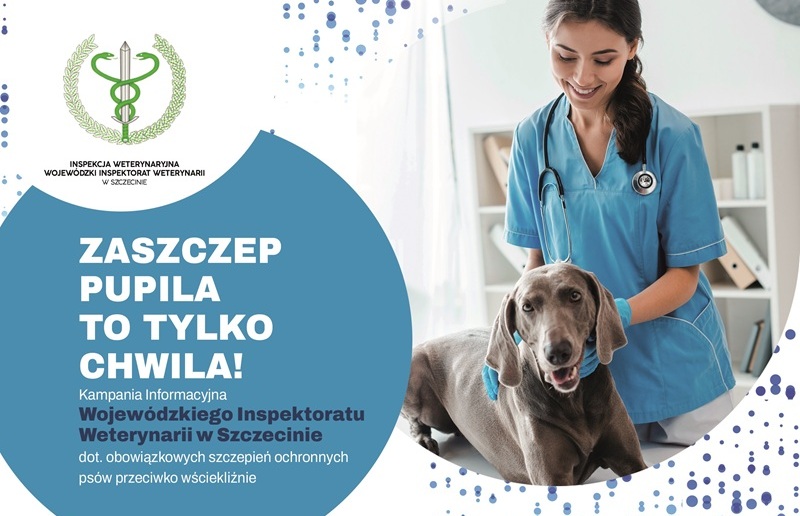 plakat wścieklizna 0